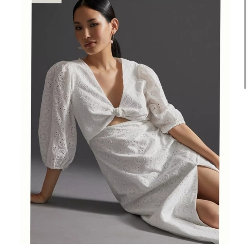 Hutch Eyelet Cutout Dress Anthropologie